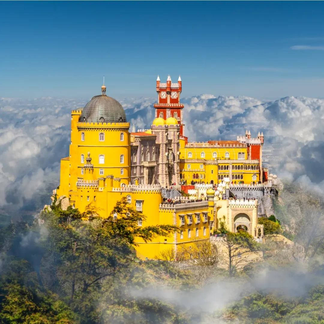 Rotaract Club de Sintra